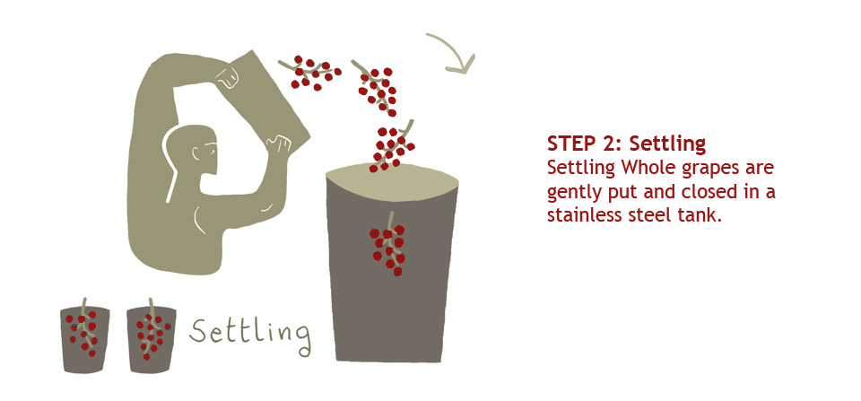 Step 2: Settling