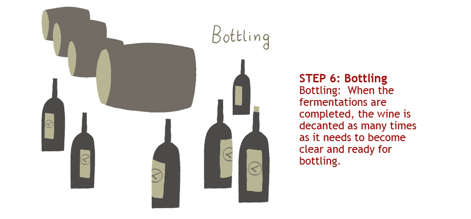 Step 6: Bottling