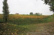 post campagna