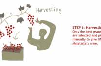 Step 1: Harvesting