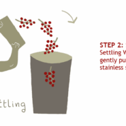 Step 2: Settling