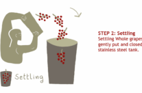Step 2: Settling