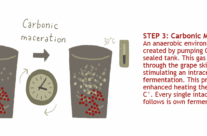 Step 3: Carbonic Maceration