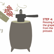 Step 4: Pressing