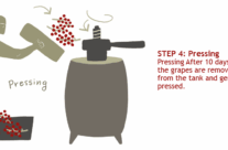 Step 4: Pressing