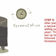 Step 5: Fermentation