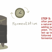 Step 5: Fermentation