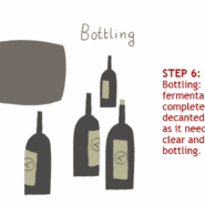 Step 6: Bottling