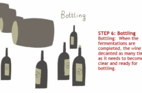 Step 6: Bottling