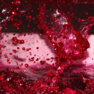 New Web Site