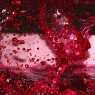 New Web Site
