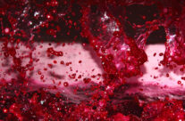 New Web Site